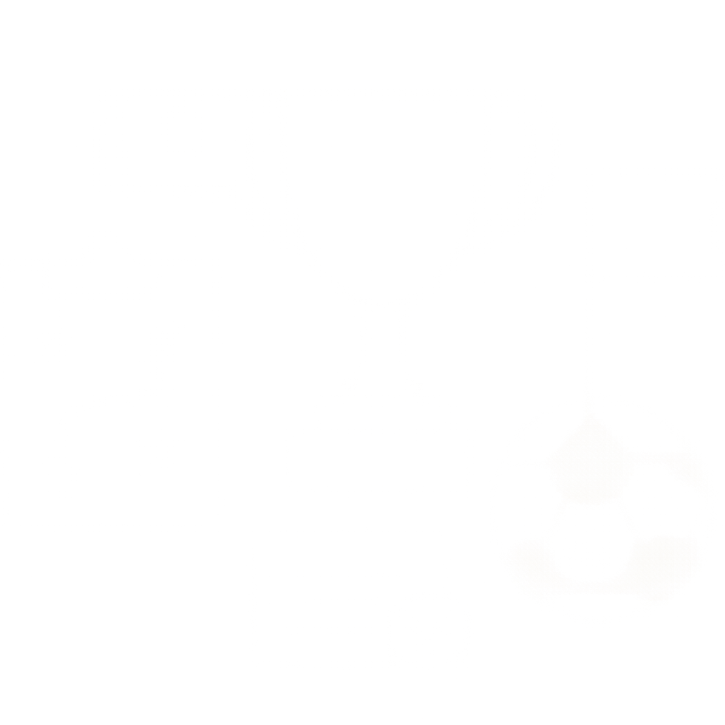 Diagram outlining the security measures of Bharat Club.